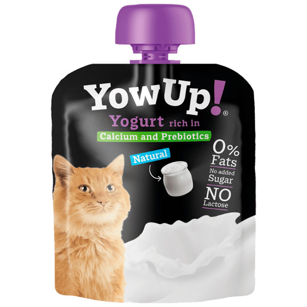 Yogur para gatos